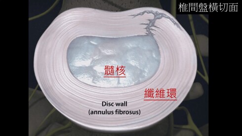 ppt9326.pptm  -  已自動回復